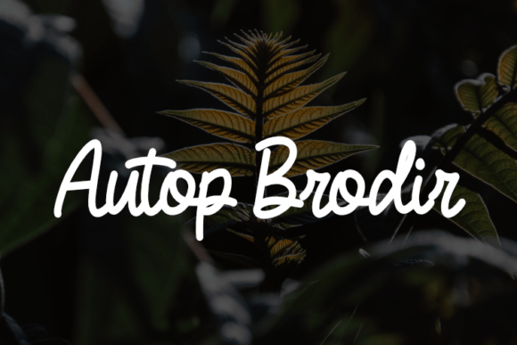 Autop Brodir: A Font for Modern Designers